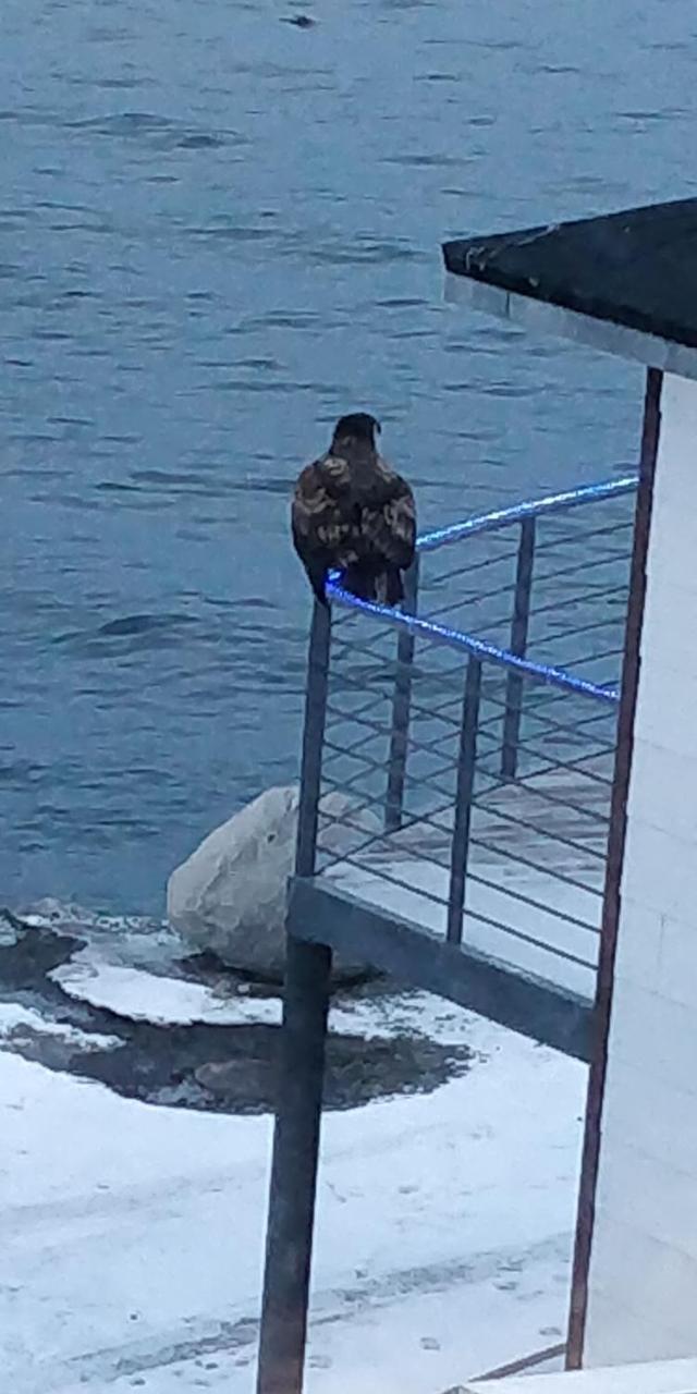 Eagle View Hotel Nuuk Exterior foto